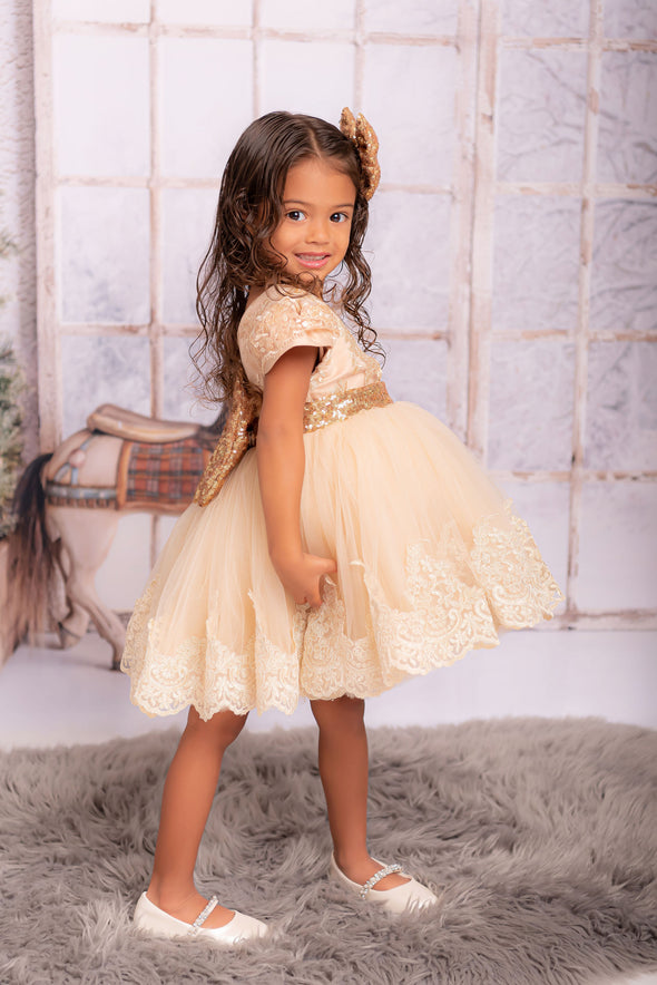Helena gold dress